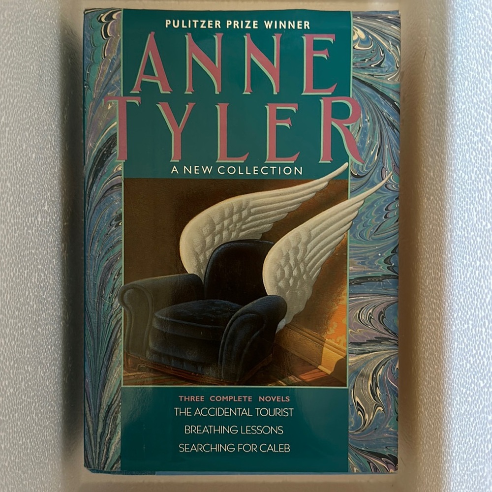 Anne Tyler the accidental tourist, breathing lessons, searching for Caleb.